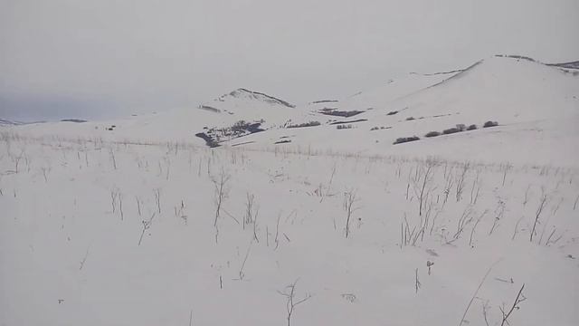 "Алтай Тьол", поход на упряжках г.Бабырган. Хаски питомника "Горный Хрусталь Алтая" и "Алтай Рокс" смотреть онлайн