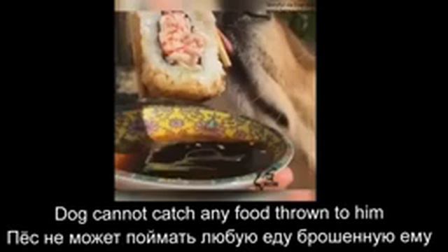 Visual video dictionary. Describing pictures & videos in English. Building vocabulory. смотреть онлайн