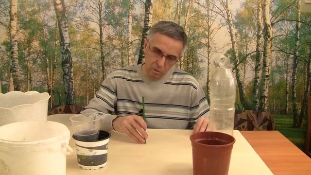 Как сажать желуди не надо. смотреть онлайн