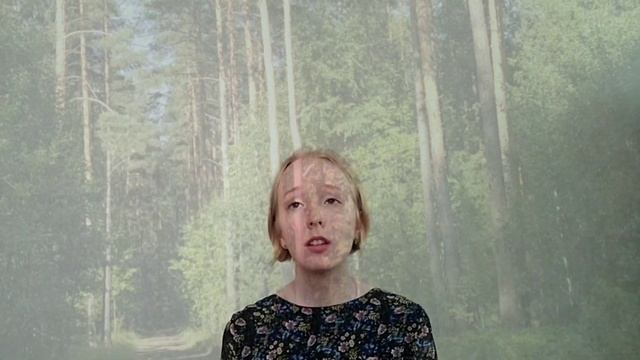 К. Д. Бальмонт "Я в этот мир пришел, чтоб видеть Солнце..." смотреть онлайн