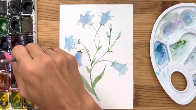 Как нарисовать колокольчик карандашом и акварелью начинающим | Рисунок поэтапно и легко для детей смотреть онлайн