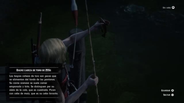 BAGRES CABEZA TORO RED DEAD ONLINE CABEZA DE TORO RDR2 DESAFIOS DIARIOS смотреть онлайн