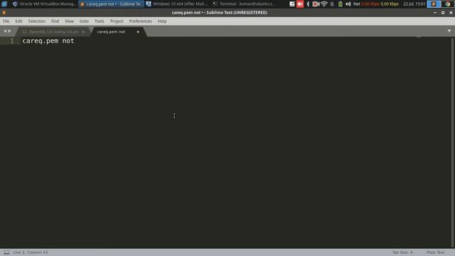 Certificate Authority Using OpenSSL + Client Certificate Generation Example [Using CA.pl Script] смотреть онлайн