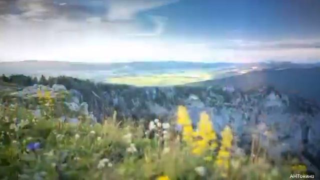 Мир прекрасен! Томазо Альбиони. Адажио. смотреть онлайн