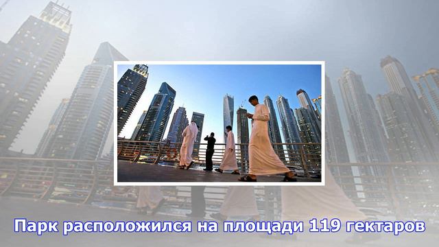 В дубае откроется зоопарк за 300 млн долларов смотреть онлайн