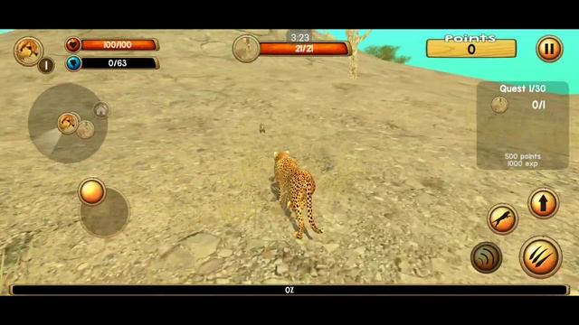 Wild Cheetah Sim 3D (wild cheetah simulator game) - Cheetah Hunted Rabbit - Android Gameplay HD смотреть онлайн