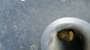 Тест саба Урал ПАТРИОТ 6.5». Часть 2 (Это волк в овечий шкуре?)