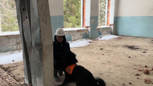 Зимняя Сказка 2023 смотреть онлайн