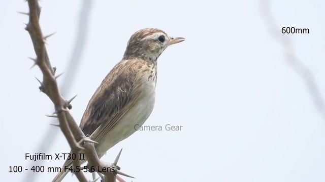 Fujifilm X-T30 II sample video with Fujifilm XF 100-400mm F4.5-5.6 Lens , 4k video test xt30 II смотреть онлайн