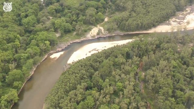 Экологические тропы Сихотэ-Алиня смотреть онлайн