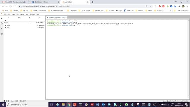How to clone Jupyter Notebooks from WEkEO GitHub смотреть онлайн