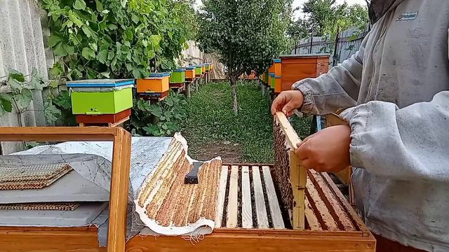 полезная площадь сота на рамке..mp4 смотреть онлайн