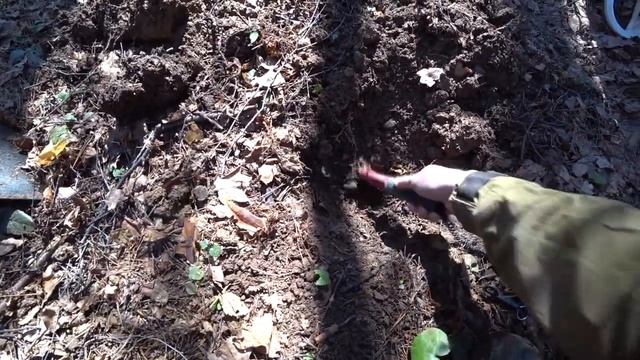 Коп монет возле МКАДа Поиск монет смотреть онлайн