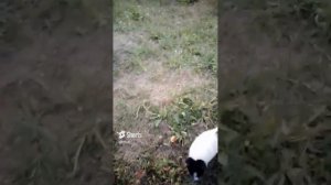 Полное видео на моём канале тимофейgamerur