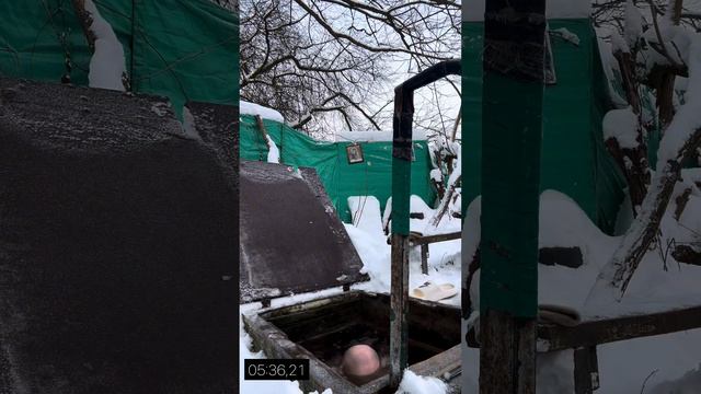 6 минут в ПРОРУБИ , на ул -7 градусов . Готовимся к заплыву подо льдом смотреть онлайн