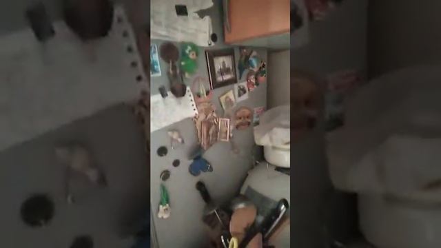 Покажи свой холодильник смотреть онлайн