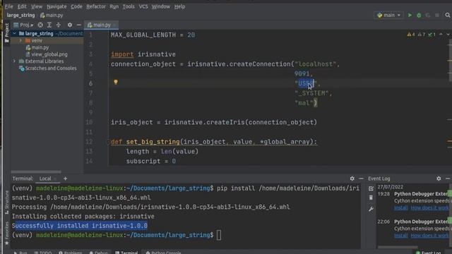 Dealing with large content in Iris Python Native API смотреть онлайн