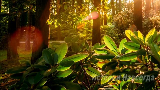 Родители жениха оделись бедными и пришли знакомиться с семьей невесты. Но такого они не ожидали… смотреть онлайн