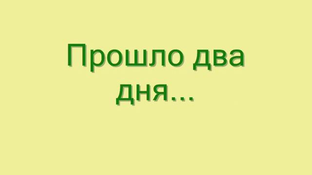 Проращивание семян огурцов на туалетной бумаге. 28.03.2016 смотреть онлайн