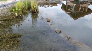 Пруд на склоне. Строительство ручья. Ч.1