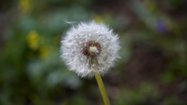 "Помогите, моя мама умирает " - в шесть утра я открыл дверь и увидел плачущего мальчика. Тогда я… смотреть онлайн