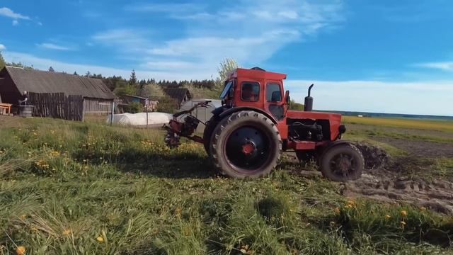 Такого вы еще не видели!!!Культивация участка с помощью мотоблока и трактора Т-40 смотреть онлайн