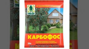 Чем обработать сливу от червей в плодах