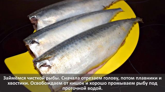 Засолка скумбрии по домашнему смотреть онлайн