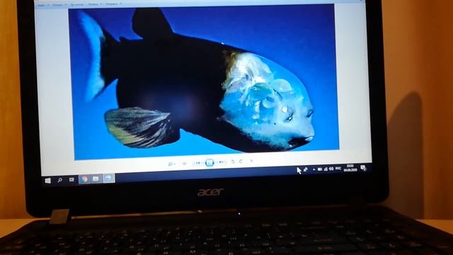 Культурно-познавательная программа, посвященная Всемирному дню океанов смотреть онлайн