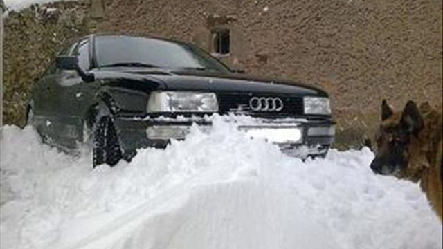 AUDI COUPE 2.3E смотреть онлайн