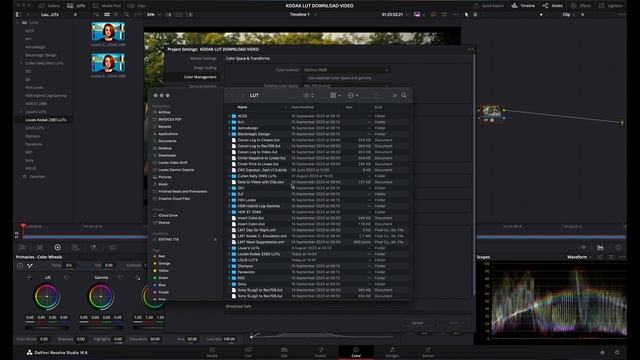 SLog3 To Kodak 2383 Film Look LUT - (FREE LUT DOWNLOAD + How To Install In Davinci Resolve!) смотреть онлайн
