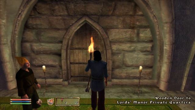 Day 386 - Killing Adoring Fan Every Day Until Elder Scrolls Skyblivion is Released смотреть онлайн