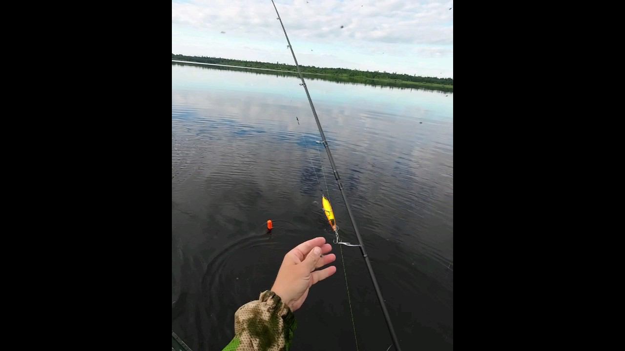 Рыбалка с приключениями #рыбалка #fishing #щука #спининг #рыба #perch смотреть онлайн
