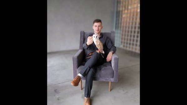 Фото сессия сова сипуха БУБЛИК в студии :))) barn owl photo studio