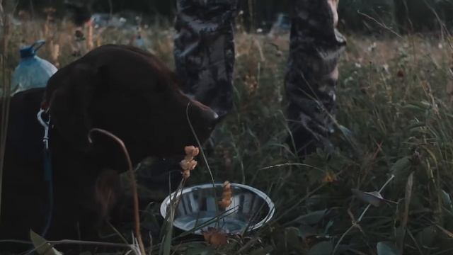 King Hunter - одежда для активного отдыха смотреть онлайн