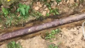 Коптильня холодного копчения/коптильня из бочки