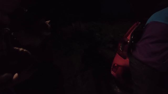 Вот до чего доходит пьянство, СКИНУЛИ СВОЮ КОШКУ С 6 ЭТАЖА! / Старичок одиночка из Дружинино смотреть онлайн