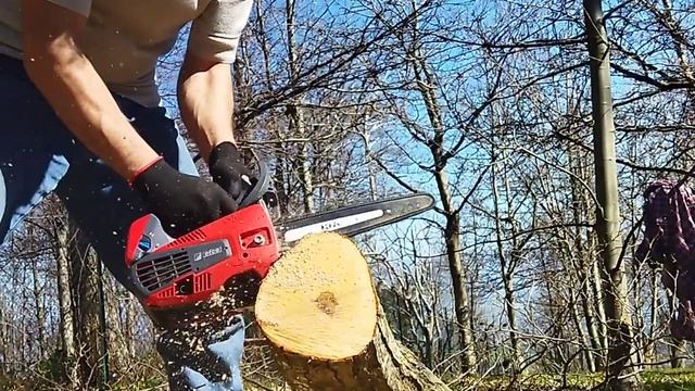 Efco Mtt 2500 - Oleomac Gst 250