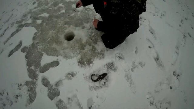 Рыбачим на небольшом озере. смотреть онлайн