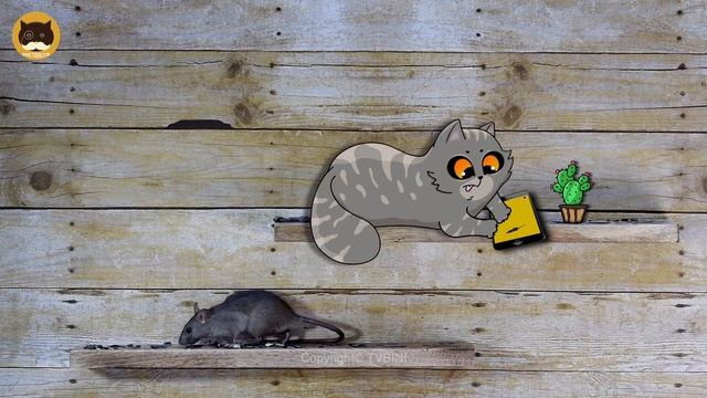 THE SECRET LIFE OF CATS - The Modern Way of Catching Mice! Funny Cat Video | CAT GAMES. смотреть онлайн