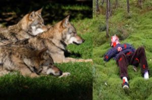 Женщина потеряла мужа, но судьба не отвернулась от неё. Аудио рассказ. Интересная история из жизни.