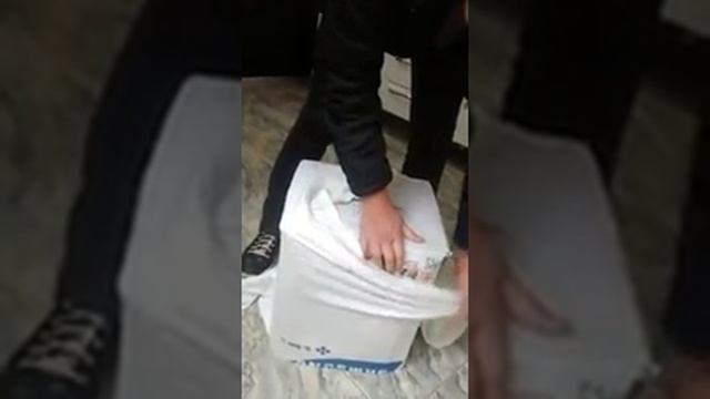 дом для кошки из футболки смотреть онлайн