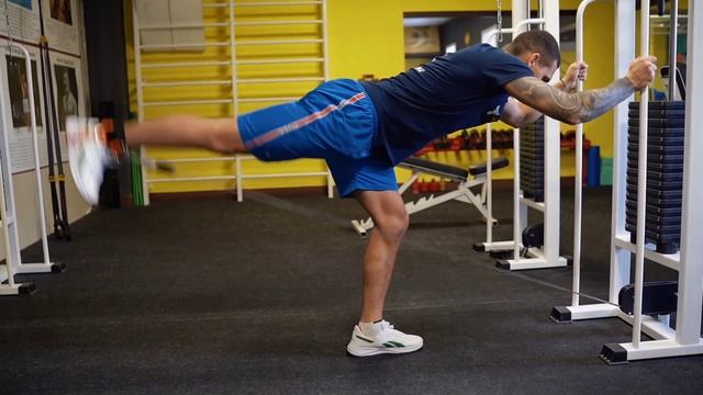 Манжеты на ноги HOMFIT для тяги в блоке или эспандере смотреть онлайн