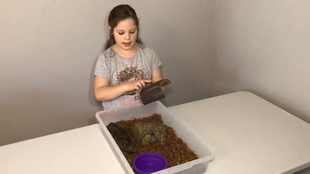 BALL PYTHON TUB UPGRADE: Peanut our Butter Enchi Pastel Ghost gets a new tub!! смотреть онлайн