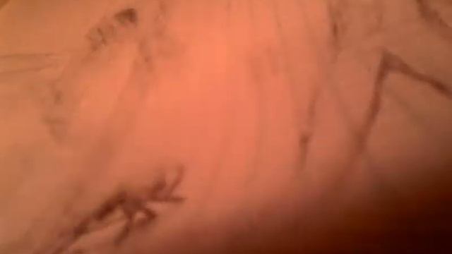 Лол читаю свои стихи и показываю свои рисунки =) смотреть онлайн