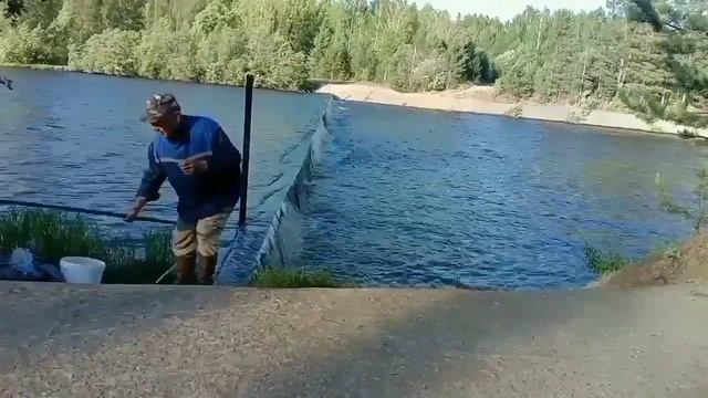 Рефтинское водохранилище . Окунь на малька . смотреть онлайн