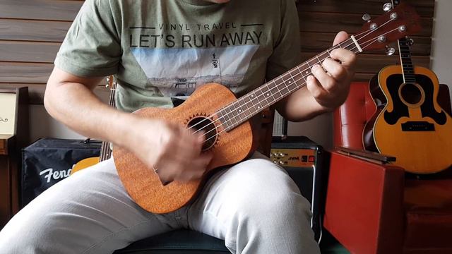 Ukulele Zebra UK - 26  Teste #ukulele #ukulelecover