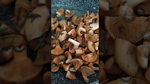 Руководство к Таланту