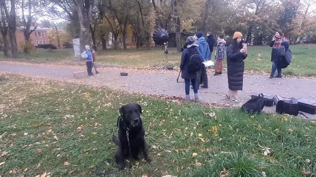 съёмки клипа Ча-Ча съёмки фильма жилбылпёс музейпса Leo Ridge   лабрадор Рей
