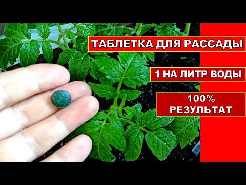РАССАДА КРЕПНЕТ НА ГЛАЗАХ! 1 ТАБЛЕТКА ОРГАНИКИ ИЗ АПТЕКИ НА 1 ЛИТР ВОДЫ! СУПЕР ПОДКОРМКА РАССАДЫ